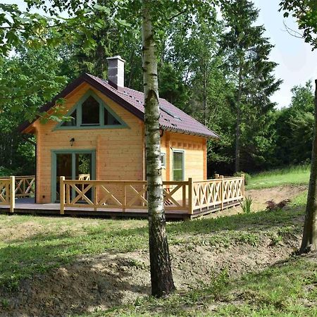 Villa Ogrod Shinrin Yoku Srokowo Exterior foto