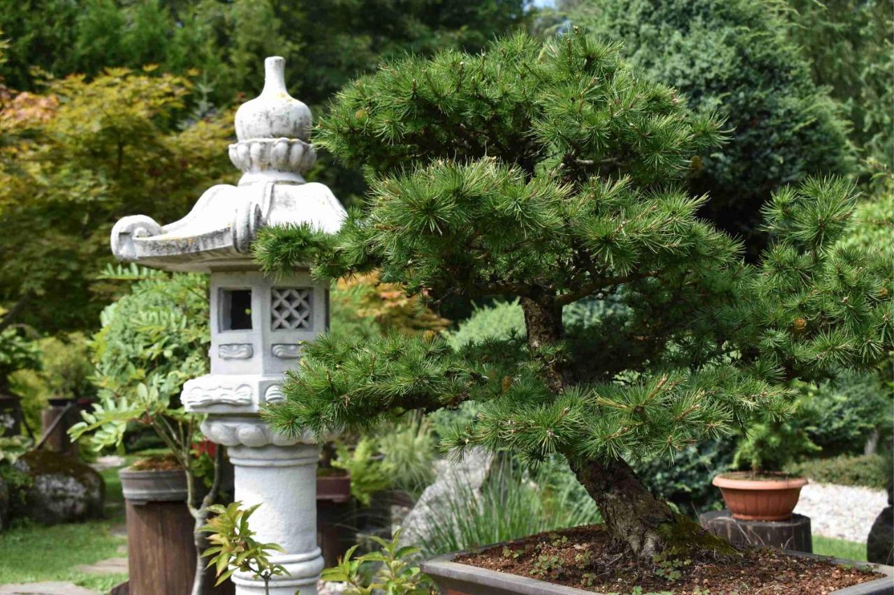 Villa Ogrod Shinrin Yoku Srokowo Exterior foto