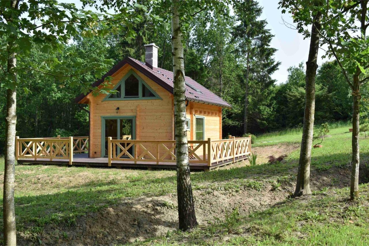 Villa Ogrod Shinrin Yoku Srokowo Exterior foto